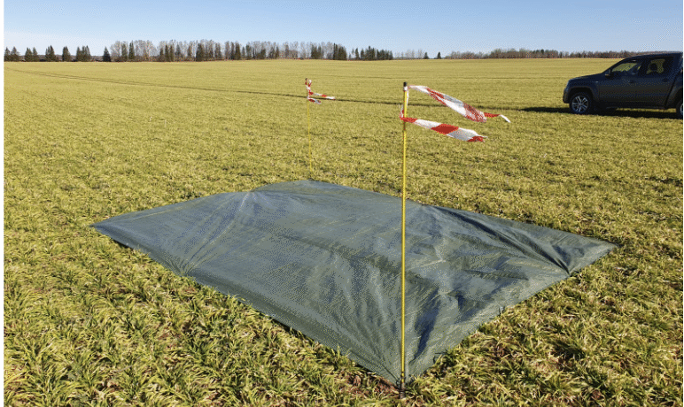 Screenshot 2025-06-30 at 10.19.55