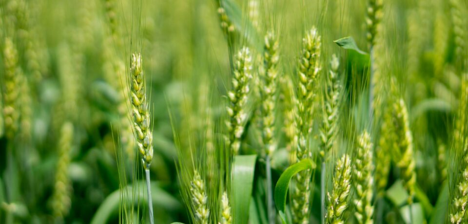 zhao-yangjun-9pZCh8Jwf4s-unsplash